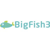 BigFish3 - Recruitment Agency Profile
