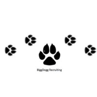 BiggDogg Consulting - Recruitment Agency Profile