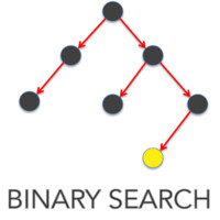 Binary Search - Recruitment Agency Profile