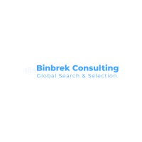 Binbrek Consulting - Recruitment Agency Profile