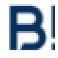 Bipolar Brains - Recruitment Agency Profile