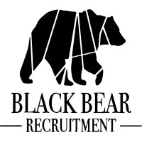Black Bear Recruitment - Recruitment Agency Profile