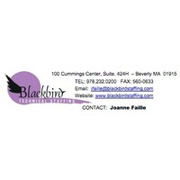 Blackbird Technical Staffing - Recruitment Agency Profile
