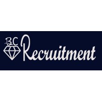 Blue Crystal Recruitment - Recruitment Agency Profile