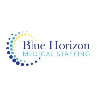 Blue Horizon Business Group - Recruitment Agency Profile