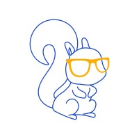 Blue Squirrel Consulting - Recruitment Agency Profile