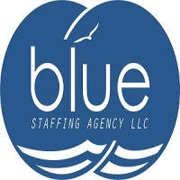 Blue Staffing Agency - Recruitment Agency Profile