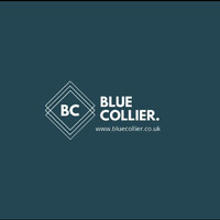 Bluecollier - Recruitment Agency Profile
