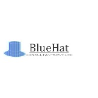 BlueHat Consultants - Recruitment Agency Profile