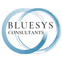 Bluesys Consultants - Recruitment Agency Profile
