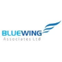 BlueWing Associates Ltd - Recruitment Agency Profile