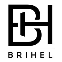 BriHel Search & Advisory - Recruitment Agency Profile