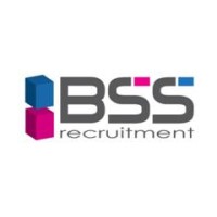BSS Recruitment - Recruitment Agency Profile