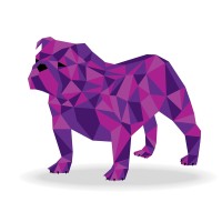 Bulldog Recruitment Limited - Recruitment Agency Profile