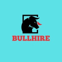 BullHire - Recruitment Agency Profile