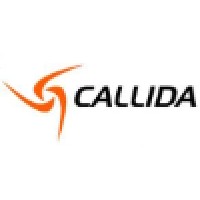 Callida Software Serivces - Recruitment Agency Profile