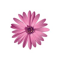 Claire's School Solutions - Recruitment Agency Profile
