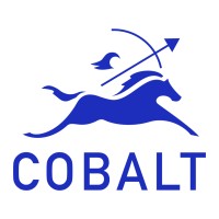 Cobalt Partners - Recruitment Agency Profile