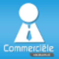 Commerciele Vacatures - Recruitment Agency Profile