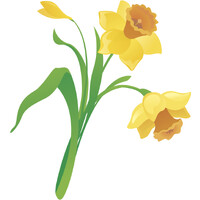Daffodils Resources Private Limited - Recruitment Agency Profile