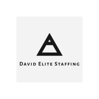 David Elite Staffing - Recruitment Agency Profile
