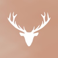 Diversely Talented - Recruitment Agency Profile