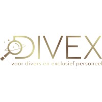 Divex Werving en Selectie - Recruitment Agency Profile