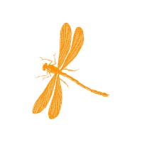 Dragonfly Recruitment - Recruitment Agency Profile