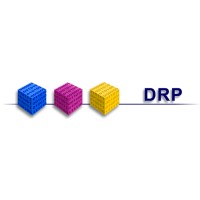 DRP Search and Selection - Recruitment Agency Profile