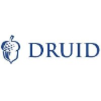 Druid Group - Recruitment Agency Profile