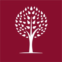 Dynamite Search Group - Recruitment Agency Profile