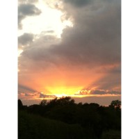 ENGLISH COUNTRY GARDENERS - Recruitment Agency Profile