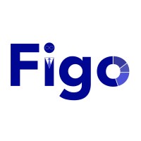 Figo Solutions - Recruitment Agency Profile