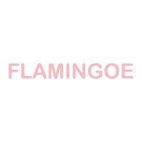 FLAMINGOE - Recruitment Agency Profile