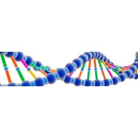 GenomicsHeadHunters.com - Recruitment Agency Profile