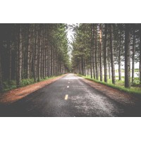 Gerritsen Group Inc. - Recruitment Agency Profile
