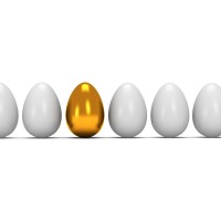 Golden Egg Recruitment - Recruitment Agency Profile