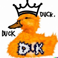 Great Orange Duck - Recruitment Agency Profile