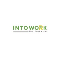 IntoWork Executive Search - Recruitment Agency Profile