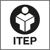 IT Emerging Partners - Recruitment Agency Profile