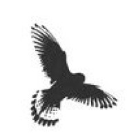 Kestrel Recruitment Ltd - Recruitment Agency Profile