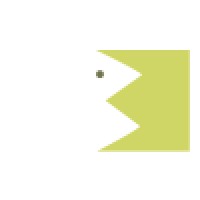 Kingfish Technology - Recruitment Agency Profile