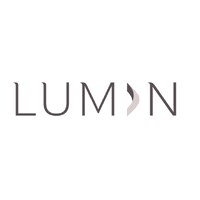 Lumin Partners - Recruitment Agency Profile