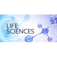 MICA Consulting Group Life Sciences - Recruitment Agency Profile