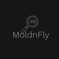 MoldnFly - Recruitment Agency Profile