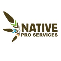 Native Professional Services - Recruitment Agency Profile