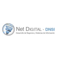 Net Digital DNSI SA de CV - Recruitment Agency Profile