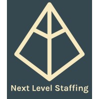 Next Level Staffing - Recruitment Agency Profile