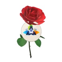 P.O.B ROSE - Recruitment Agency Profile