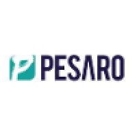 Pesaro - IT Expertise Delivered - Recruitment Agency Profile